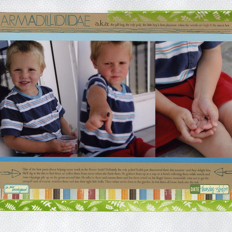 A sorensen roly polies A sorensen roly polies