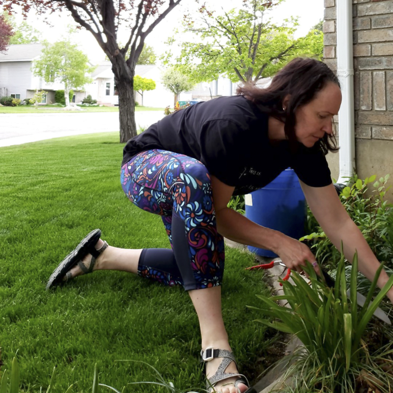 Witl 2019 gardening Witl 2019 gardening