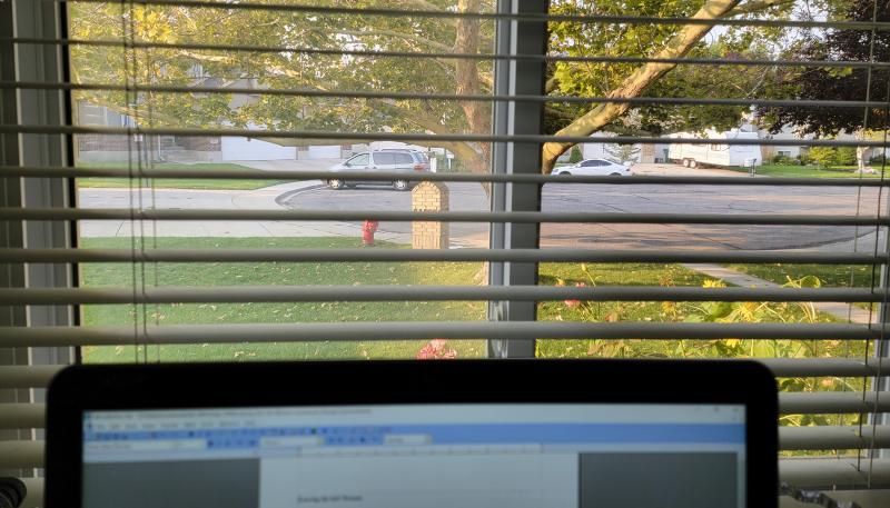 View from my window summer 2021 View from my window summer 2021